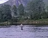 En person fisker stående i vannet foran en skog og fjell i bakgrunnen.