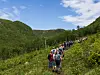 Ei lang rekke med turgåere går på en smal sti gjennom grønn vegetasjon i et fjellområde.