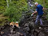 Mann og hund krysser en steinete bekk i skogsterreng.