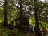 Flere personer sitter og står blant store trær i en grønn skog.