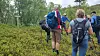 Flere personer går på en smal natursti gjennom grønn skog med ryggsekker.