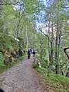 Turgåere på en smal grussti i skogen med fjell og trær rundt.
