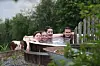 Fire personer i et utendørs karbad med grønne omgivelser og en ku i bakgrunnen.