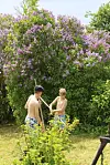 To barn i en grønn hage foran en stor busk med lilla blomster. Ser ikke hva de bruker, men trolig hver sin ljå.