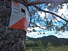 Oransje og hvitt Kode-skilt festet på trestamme med fjell og himmel bak.