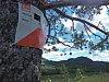 Oransje og hvitt Kode-skilt festet på trestamme med fjell og himmel bak.