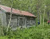 Et gammelt tømmerhus med rustent tak står blant trær og tett vegetasjon i skogen.