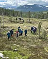 En gruppe turkledde mennesker går over en lyngkledd fjellside med trær og snødekte fjell i bakgrunnen.