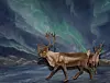 To reinsdyr går foran en dramatisk himmel med grønt og blått nordlys.