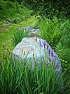 Stor steinhelle i en grønn hage med høyt gress og lilla blomster.