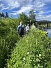 To personer går på en smal sti i høyt gress ved elva, med bro og blå himmel i bakgrunnen.