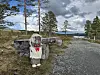 Dekorert trefigur med rød sløyfe står ved en grusvei i et skogsområde.
