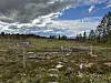 Myrområde, skilt hvor det står 'trollSPA', gjerde, trær, og dramatisk skydekke under blå himmel.