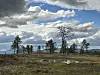 Åpent myrlandskap med trær, vannpytter og dramatiske skyer over fjellene.
