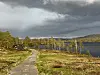 Grussti langs et fjellvann med skog, gress og mørke skyer på himmelen.