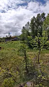 Grønt landskap med trær, busker og en liten bygning under en skyfull himmel.