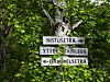 Treskilt med navn på turmål hengende i tett grønn vegetasjon i skog.