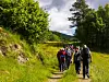 Gruppe turgåere går på en sti mellom grønne trær og gresskledde skråninger.