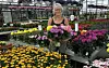 Kvinne står i et drivhus omgitt av fargerike blomsterpotter og grønne planter.