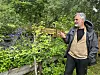En mann står i en frodig hage og peker mot blomster og et gult gjerde.