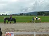 To personer med hester går langs en grusvei ved grønne jorder under en grå himmel.