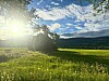 Sollys over en grønn eng med trær, blomster og fjell under en skyet himmel.