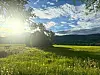 Sollys over en grønn eng med trær, blomster og fjell under en skyet himmel.
