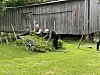 tro menn kledd i klær fra 1950 jobber med å hæsje foran en gammel trebygning.