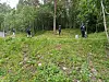Fire personer i yttertøy i en bratt, grønn skogbakke.
