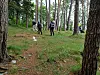 Fire personer går i skogen, med høye trær og gress på bakken.