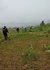 Turkledde personer går over et grønt, vått jorde i tett tåke med åser og busker i bakgrunnen.