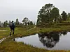 Turgåere går langs en sti ned fra Salen ved et stille vann i et myrlendt landskap.