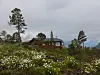 Rød hytte i natur med hvite blomster, trær og fjell i bakgrunnen under grå himmel.
