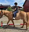 Ung rytter med hjelm på en lys brun hest ved en bom foran røde stallbygninger.