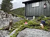Dekorative figurer på berg. En mørk trebygning.
