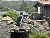 En stor pynte-fugl står på en trerot med steiner oppå, foran berg, grønt landskap og trebygninger.