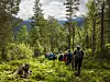 Turgåere går på en skogssti med høye trær og fjell i bakgrunnen.