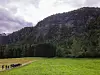 En gruppe mennesker går langs en sti over en grønn eng foran en bratt, skogkledd fjellside.