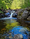 Liten foss i en skogbekk med steiner, klart vann og grønn skog rundt.