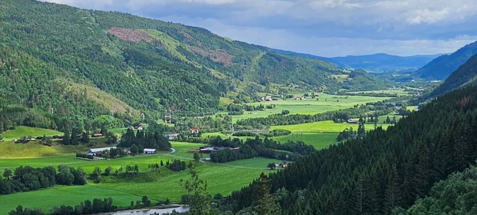 Grønn dal med jordbruksland, skog og åser under en skyfull blå himmel.