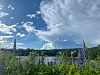 Landskap med vann, grønne trær og lilla blomster under en blå himmel med skyer.
