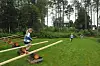 Barn som balanserer på trestokker i en grønn hage med trær og hus i bakgrunnen.