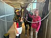 En hest står mellom to personer i en stallgang med blå vegger og gulv av betong.
