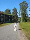 Lite barn går på grusvei ved trebygninger og høye trær i et solfylt landskap.