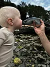 Et lite barn nærmer seg en fisk som holdes i en hånd på en steinete strand.