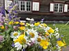Fargerik bukett med hvite, gule og lilla blomster foran en rød trebygning.
