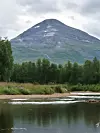 Fjell i bakgrunnen med skog og stille vann foran under grå himmel.