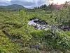 En liten elv renner gjennom grønn vegetasjon og steinete terreng i et fjellandskap.