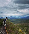 Hund på en fjellknaus med utsikt over dal og fjell under dramatisk skydekke.