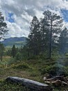 Bålsted i skog med røyk, trær, fjell og skyet himmel i bakgrunnen.